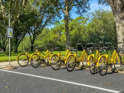 a row of yellow bikes parked in a parking lot at Elegant Emerald Island – Near Disney in Kissimmee