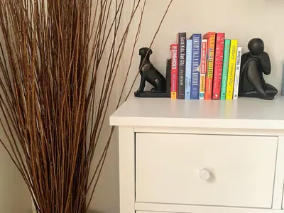 a shelf with books and a cat statue on top of a cabinet at Sea World Orlando Apt - Minutes From Parks in Orlando