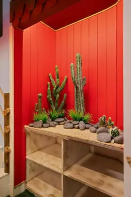 a wall with cacti and plants on a shelf at Themed 15BR Mansion - Near Parks in Kissimmee