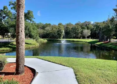 a walkway next to a river with a palm tree at Condo Universal Disney Epic Free Parking in Orlando