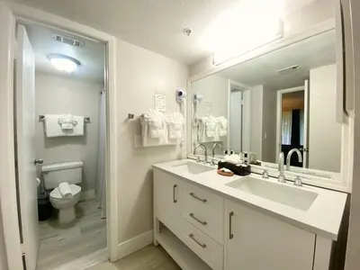 a bathroom with a sink and a toilet and a mirror at Sea World Orlando Apts Parks Convention Centre in Orlando