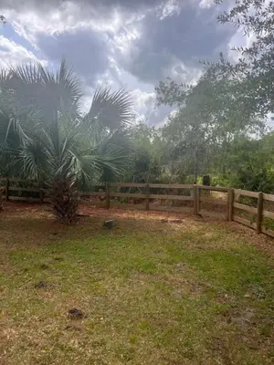 a wooden fence in a yard with a palm tree at Woodland Yard in Kissimmee