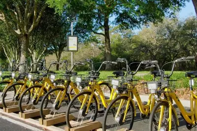 a bunch of yellow bikes parked in a row at 5BRDisney Villa Pool,Game Room & Resort Access in Kissimmee