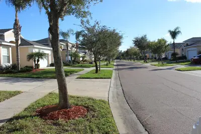 a tree on the side of a street with houses at Crystal Cove 4 Bedroom Vacation Home 1527 in Kissimmee