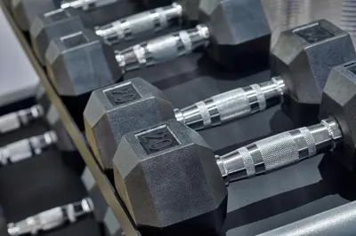 a row of metal dumbbells on a machine at AC Hotel by Marriott Orlando Lake Buena Vista in Orlando