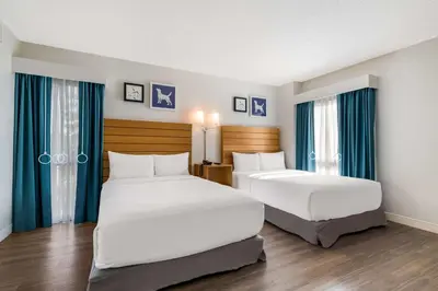 two beds in a hotel room with blue curtains at Sonesta ES Suites Orlando International Drive in Orlando