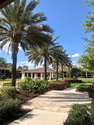 a group of palm trees in front of a building at DoubleTree by Hilton Orlando Theme Park Resort in Orlando