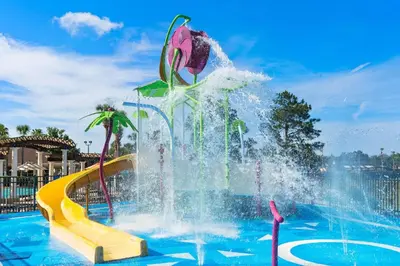 a water fountain in a pool with a slide at 2540 Windsor Hills in Orlando