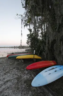 a row of surfboards lined up next to a tree at Orlando RV Resort in Orlando