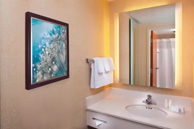 a bathroom with a sink and a painting on the wall at SpringHill Suites by Marriott Orlando Lake Buena Vista in Marriott Village in Orlando