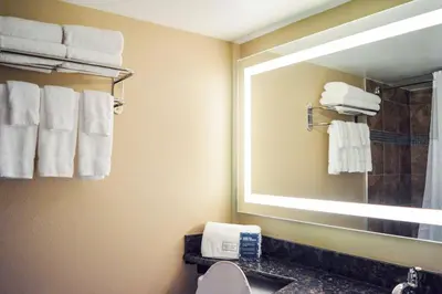 a bathroom with a sink and a mirror and towels at Radisson Hotel Orlando Lake Buena Vista South in Kissimmee