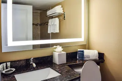 a bathroom with a sink and a mirror and a toilet at Radisson Hotel Orlando Lake Buena Vista South in Kissimmee