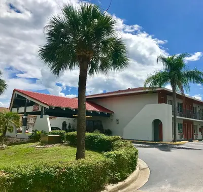 a palm tree in front of a building at The keys in Kissimmee