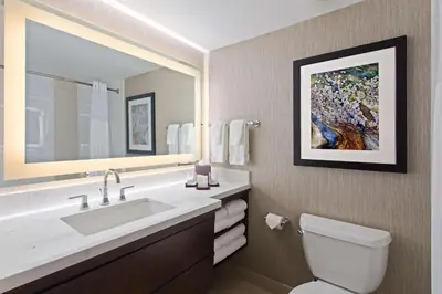 a bathroom with a sink and a toilet and a mirror at Embassy Suites by Hilton Orlando International Drive Convention Center in Orlando