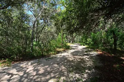 a dirt road in the middle of a forest at Waterside Villa - Family 4 bed Emerald Island Resort pool home that's close to Disney World in Kissimmee