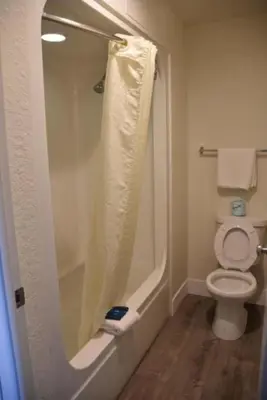 a bathroom with a shower with a toilet in it at Rodeway Inn Kissimmee - Orlando Maingate West - Free Theme Park Shuttle in Orlando