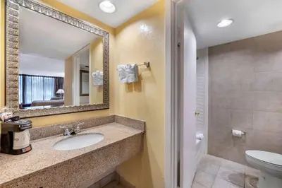 a bathroom with a sink and a toilet and a mirror at Clarion Inn Orlando International Drive - ICON Park in Orlando