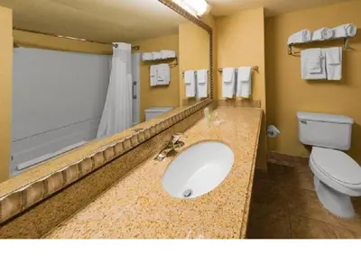 a bathroom with a sink and a toilet at Holiday Inn & Suites Orlando SW - Celebration Area by IHG in Orlando