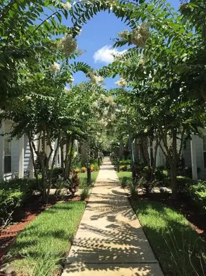 a sidewalk lined with trees in front of a house at 3 Bedroom townhouse in luxury Resort, sleeps 8, 10 min to Disney! in Kissimmee