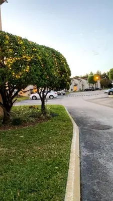 a street with two trees on the side of the road at Disney Holiday Home, Orlando in Kissimmee