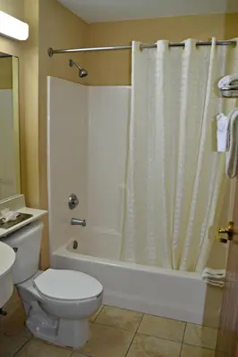 a bathroom with a toilet and a tub and a shower at Baymont by Wyndham Orlando-International Dr-Universal Blvd in Orlando