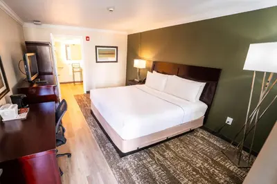 a bedroom with a large white bed and green walls at Mai Hana Hotel and Suites I Drive-Theme Parks in Orlando