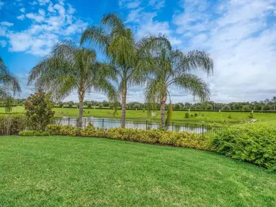 a yard with palm trees and a pond at 650 Lasso Drive in Orlando