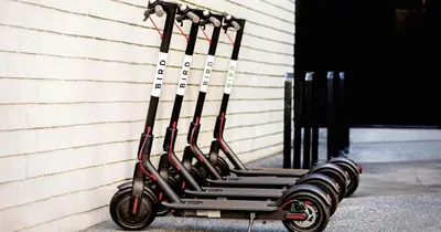 a row of golf clubs lined up against a wall at Bposhtels Orlando Florida Mall in Orlando