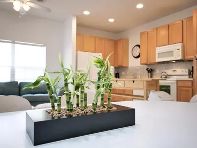 a kitchen with a table with plants on it at 5Br 3Bath Private Townhome 13min Disney 1496ft in Kissimmee