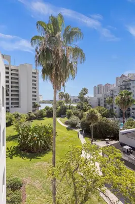 a palm tree in the middle of a park at Cozy Condo on International Dr. Near Universal Studios in Orlando