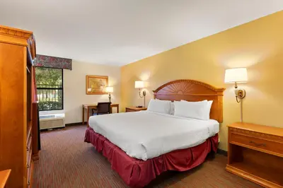a hotel room with a large bed and a window at Orlando Palms in Orlando