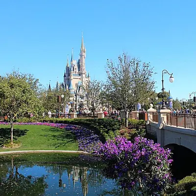 a pond in front of the disney castle at Orlando Vacation Home Near Disney in Kissimmee