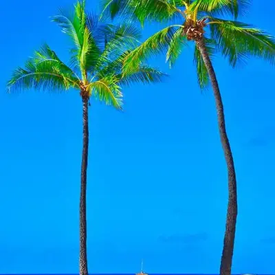 Gone 2 Florida Vacation Homes