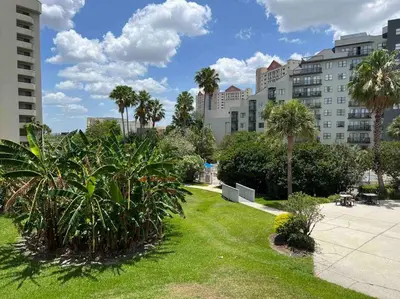 a park with palm trees and buildings in a city at Lovely Studio near Universal in Orlando