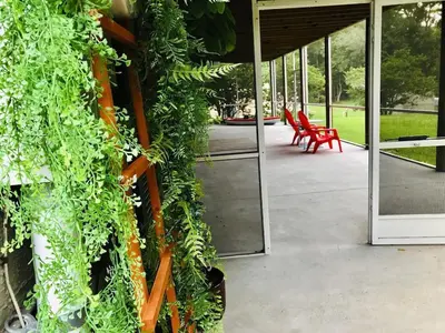 a room with a wall covered in green ivy at Hidden City Riverfront Apt Near Lakes Golf & Disney in Kissimmee