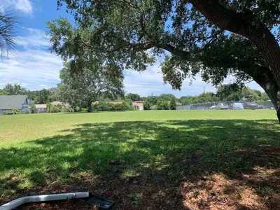 a tree in the middle of a field with a shadow at FUN! PoolLake near Disney Fast WiFi Pickleball in Clermont