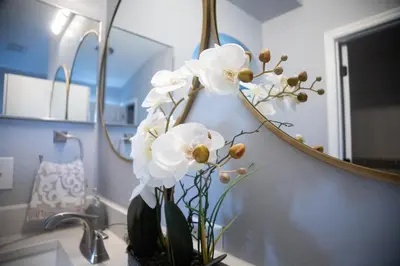 a vase of flowers sitting on a counter in front of a mirror at Florida Suburban Oasis ~ Lk Mary/Sanford Florida! in Sanford
