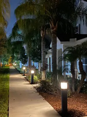 a sidewalk with palm trees and lights on it at Lovely and Cozy Townhome Near Disney Parks in Kissimmee