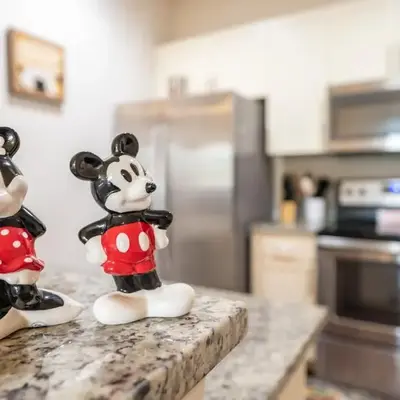 Lovely and Cozy Townhome Near Disney Parks